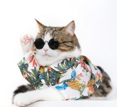 まだまだイきます?