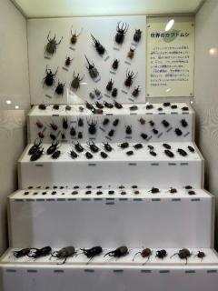 ロマンからの続き?