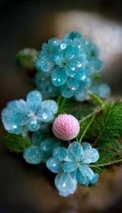 有り難うございます