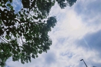 おはようございます