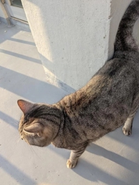 退勤しました。