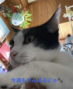 おはようございます🌞