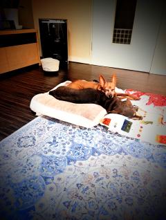 いつも仲良し…