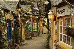 人妻24時　しずく