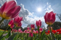 おはようございます☆*。