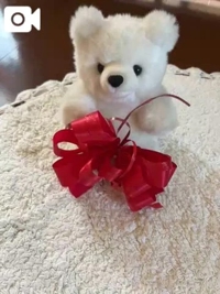 ドジャースウグイス