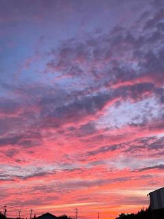 Roots(ルーツ)　さら