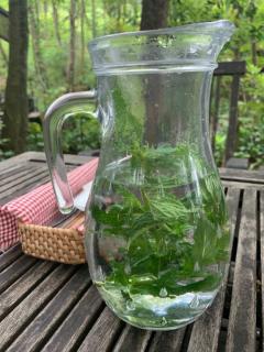 お早うございます??