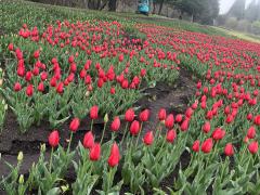 おはようございます