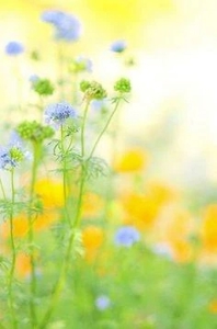 有り難うございました