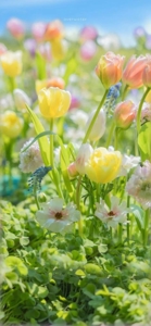 八幡西区近隣に来てます