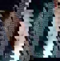 宮崎ちゃんこ中央通店　あかり