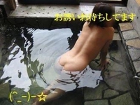 今週末は賑わいそう