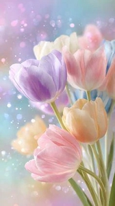 有り難うございます