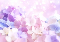 有り難うございます