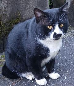 熟女専門店だんバラ熟女(霧島市) 都城店りょう奥様