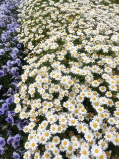 いっぱい笑った日でした ??