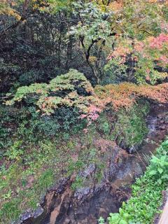 ねむちゃん??♀?