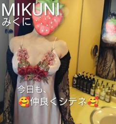 人妻ステーションポータブル(デリヘル) みくに