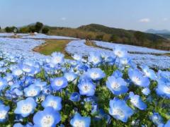 明日出勤です??