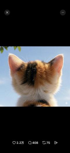 ご主人様いらっしゃい 大分店　めぐ♡美人素人