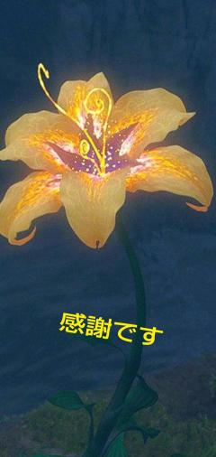 人妻セレブ　野風(のかぜ)