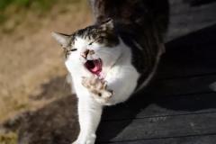 たまに心配されますが笑