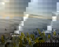 今日はみんなありがと？