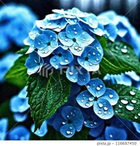 有り難うございます