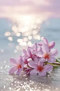 有り難うございます