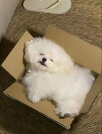 また土曜日ねzzZ