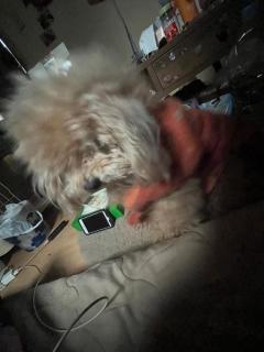 [お題]from:リンゴさん