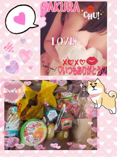  サクラSakura