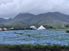 爆安＜元祖＞どすこい倶楽部　しょう子(宮崎店)