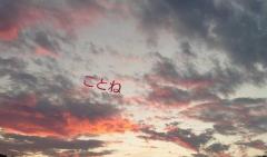 変態さん出てきて下さい(*/∀＼*)