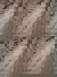 タイミング合う人？？