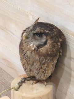 退勤しました！