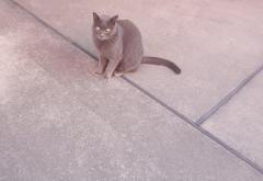 おそようございます(  ???? )?