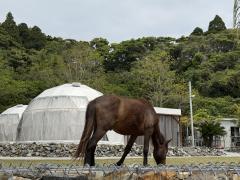 アップル倶楽部　しおん