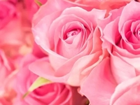 有り難うございます