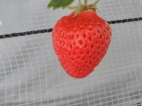 お礼ですJ駅方面