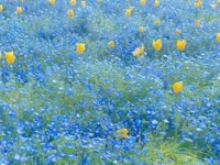 おはようございます.☆*