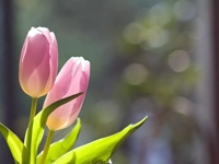 八幡西区に来てます