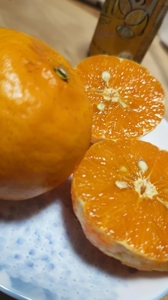 マドンナSANSAIN(宮崎市) まみ