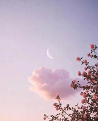 この先の出勤予定…