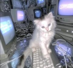 こすらぶ鹿児島店　ゆきの