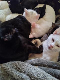 こんにちは✨😃❗️