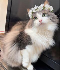 お疲れ様です☆