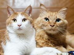 甘えたい日だけど…優しい人がいい?