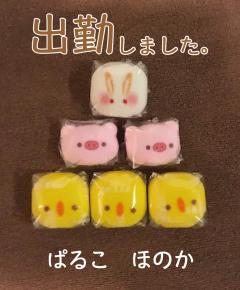 シュッキーン☆